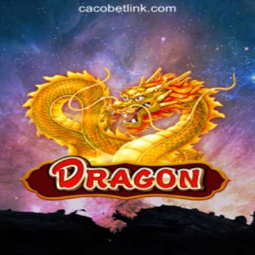 Exploring the Exciting World of Dragon at CaCoBET.com Oficial Slots Brasil #1